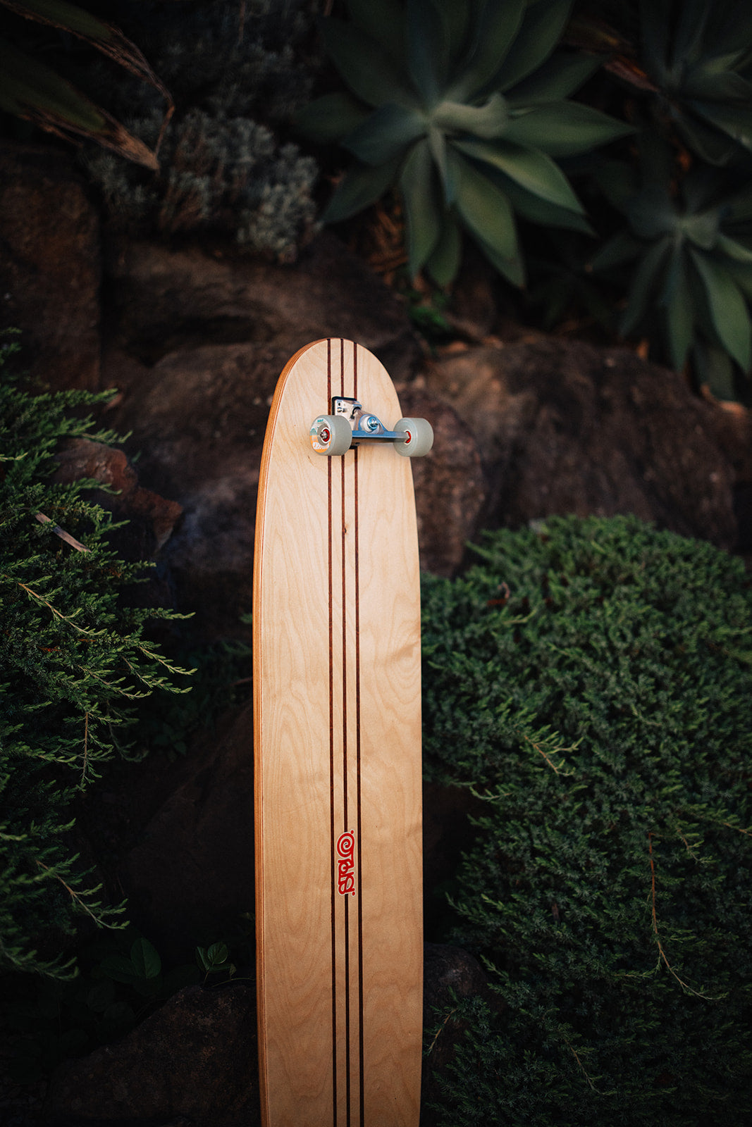 PRIMO - 6ft Log